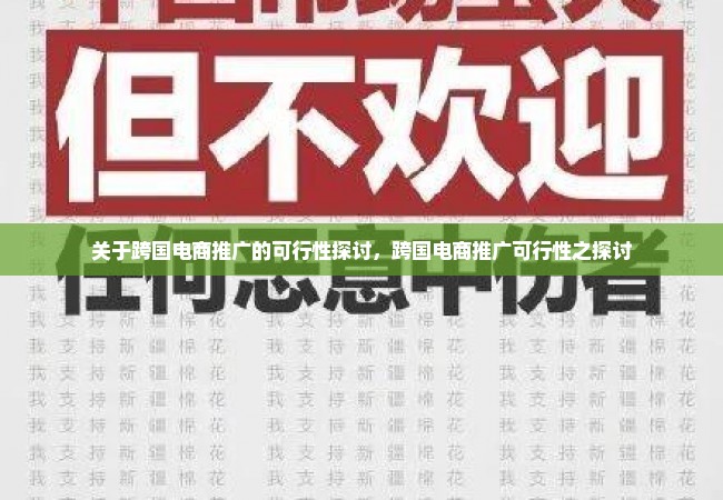 关于跨国电商推广的可行性探讨，跨国电商推广可行性之探讨