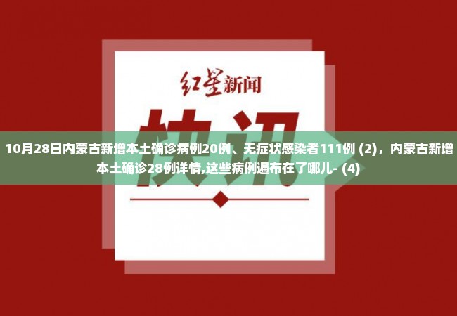 10月28日内蒙古新增本土确诊病例20例、无症状感染者111例 (2)，内蒙古新增本土确诊28例详情,这些病例遍布在了哪儿- (4)