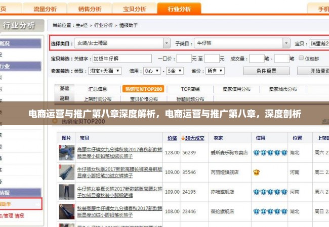 电商运营与推广第八章深度解析，电商运营与推广第八章，深度剖析