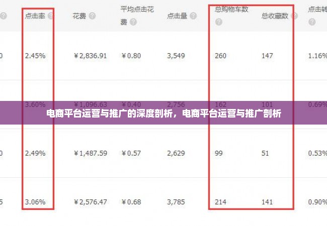 电商平台运营与推广的深度剖析，电商平台运营与推广剖析